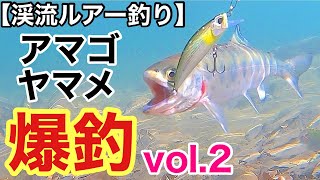 【渓流ルアー釣り】南アルプスの川でアマゴ・ヤマメ爆釣vol ２