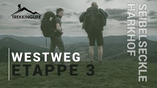 Westweg - Trekking im Schwarzwald | Camp Seibelseckle - Harkhof (Etappe 3)