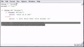 Python Programming Tutorial 22 Nesting Statements1