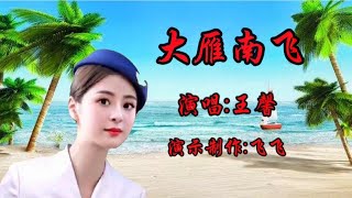 最火情歌广场舞《大雁南飞》王馨演唱，好听又好看【燕儿飞飞广场舞】