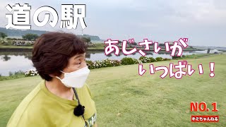 あじさいが果てしなく続く道の駅【人生の秋！ エブリイワゴンで行く 60代夫婦 道の駅巡り旅】道の駅多古.いたこの旅 NO.1