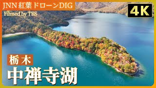 【4K】秋の恋の始まり　日光　中禅寺湖【JNN 紅葉ドローンDIG 2023】| TBS NEWS DIG