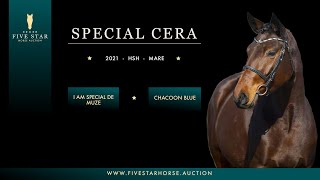 Special Cera (I am Special de Muze - Chacoon Blue) 2021. HSH mare