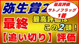 弥生賞2020予想【最終追い切り評価】最高評価は動き抜群だったこの２頭！現在2週連続 最高評価馬が快勝！