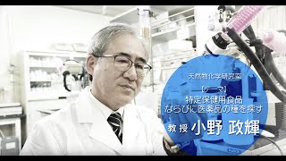 天然物化学研究室（小野研）