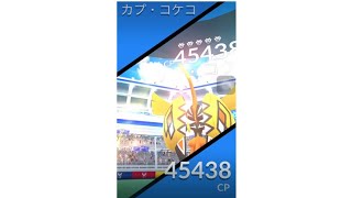 ポケモンGOレイドバトルカプコケコ5人攻略ゲットできたのかな？