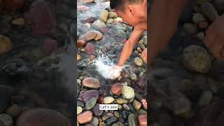The valuable stones #crystals #gemstone #hunting #rock #fossil #shorts
