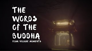 The Words of the Buddha (Part Three) | Plum Village Moments