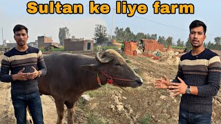 Sultan ke liye farm lene waale hai || @Bull.Rider-Vlogs