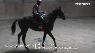 10/22　モンスーンウェディング'15（父ルーラーシップ　母父Monsun）馴致