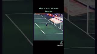 Black cat scores a goal meme