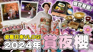 【2024年必看‼】日本京都二條城賞夜櫻🌸✨！江戶時期隱世餐廳🎎！日本VLOG🎌