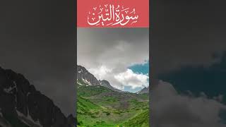 95 Surah AT- Tin. Urdu translation التین