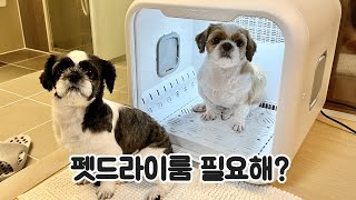 드라이룸 사용에 최적화된 시츄 강아지ㅋㅋㅋ 귀여운반응까지 ㅋㅋㅋ #펫바이브 #펫드라이룸