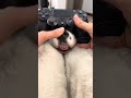 the way joystick is played 🎮🕹️