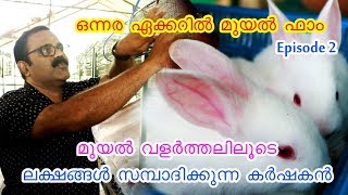 മാസം 2ലക്ഷം ഒന്നര ഏക്കറിലെ മുയൽ ഫാം peechi rabbit farm thrissur,kerala episode 2