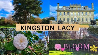 Exploring Hidden Secrets of Kingston Lacy: A Journey Through Time and Luxury!