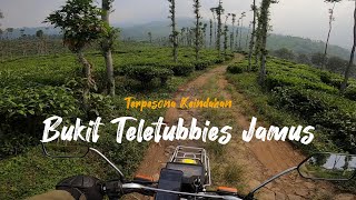 WIN100 | Jalur indah menuju Bukit Teletubbies Jamus