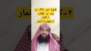 فروع بني مالك بن زيد بن كهلان |الأزد|همدان | أنمار