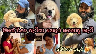 මගේ leo weerasighe කොල්ලව ගෙදර ගෙනාවා