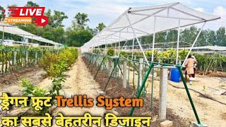 Complete Details of Dimensions, Cost and Material Used in Trellis System of Dragon Fruit