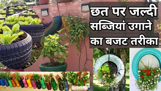 छत पर कम बजट में कैसे उगाएं सब्जियां । How we Start Terrace Gardning In Low budget