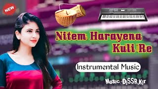 Nitem Harayena Kuli Re🔥Santali Instrumental music 2021-22