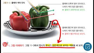 간지샘 1학년 디딤영상 6단원 2 (196~198쪽)