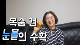 제주도에 숨겨진 역사 \