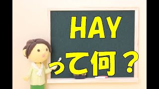 HAYって何？動詞HABERって何に使うの？★ナチュラルなスペイン語を日本語で学べる世界一わかりやすいスペイン語学校JAPOÑOL