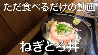 【ただ食べるだけ】海老名駅にある鮪のお店でお手軽なねぎとろ丼を喰らう【私のお手軽グルメ】