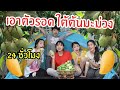 24 ชั่วโมง เอาตัวรอด หลังบ้าน นอนใต้ต้นมะม่วง กับเพื่อนๆ | ใยบัว ฟันแฟมิลี่ Fun Family