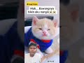 Kucing Ini Menangis Karna Deket Dengan Majikannya Yang Memotong Bawang #shorts #kucinglucu #kucing