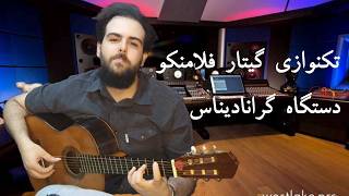 Epic Flamenco Guitar Solo in Granadinas | تکنوازی خیره کننده گیتار فلامنکو در پالو گرانادیناس