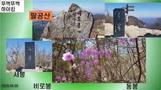 팔공산 (서봉 -비로봉- 동봉) 2020 04 05