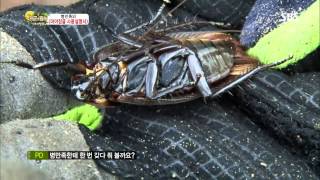 정글의법칙 마야정글130920 #41(1)