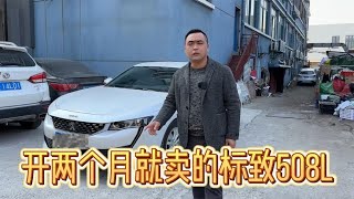 今年上牌的标致508L就惨遭两任车主抛弃，这车有啥问题吗？【九头鸟阿超】