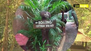 Rain Forest Ayur County Resort Kottayam