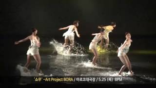 MODAFE 2017 (제36회 국제현대무용제) 모다페 국내초청작 대극장 - Art Project BORA