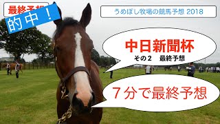 中日新聞杯 2018 ～７分で最終予想。馬場傾向から勝てる馬～