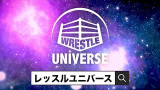 【日本業界最高の動画配信サービス】プロレス見るならWRESTLE UNIVERSE！充実のサービス展開で様々な団体が楽しめる🔥