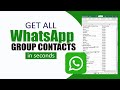 How to Export All WhatsApp Group Contacts to Excel | In Seconds