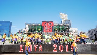 [4K] 早稲田大学よさこいチーム東京花火　こいや祭り 2019 2日目