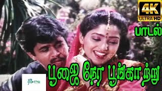 பூஜை நேர பூங்காற்று புதிய ராகம் பாடாதோ | Poongatre | S.P.B Chithra | Mudhal Udhayam Video Songs | HD