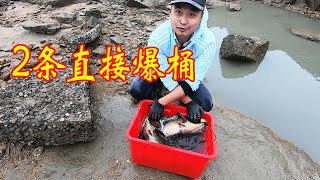 花200元买羊血撒满300平的巨无霸坑，巨货藏匿水下，2条直接爆桶了