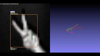 Static Gestures with Ultra-Low Res TOF Camera