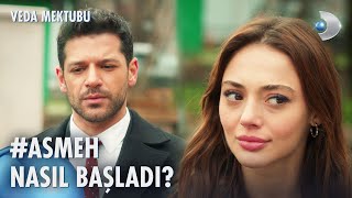 Aslı ve Mehmet'in aşkı nasıl başladı? | Veda Mektubu Özel Kolaj #8