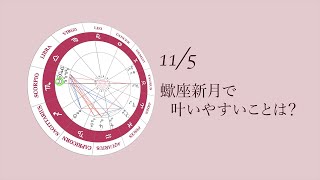 新月満月の瞑想｜2021年11月5日 蠍座新月の引き寄せアドバイス