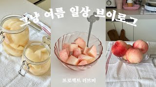 그냥 여름 일상 브이로그🍑| 쥐롤라 중독 | 까망베르 치즈 파스타 | 복숭아 조림 | 하이볼향 콤부차 | 오리 튜브 얼음틀 | 제주도 자취 vlog