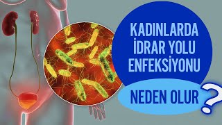 Kadınlarda İdrar Yolu Enfeksiyonu Nedir? Kadınlarda İdrar Yolu Enfeksiyonu Nasıl Bulaşır?